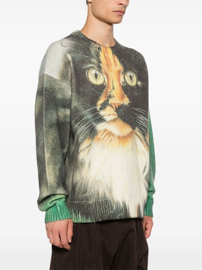 Jwanderson Men's Green Cat Print Sweater 2