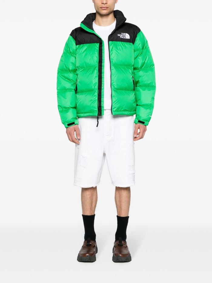 The North Face Giubotto Verde Uomo 1996 Retro Neptuse 1