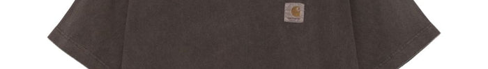 Carhartt Wip T-shirt Marrone Uomo - Dipierro