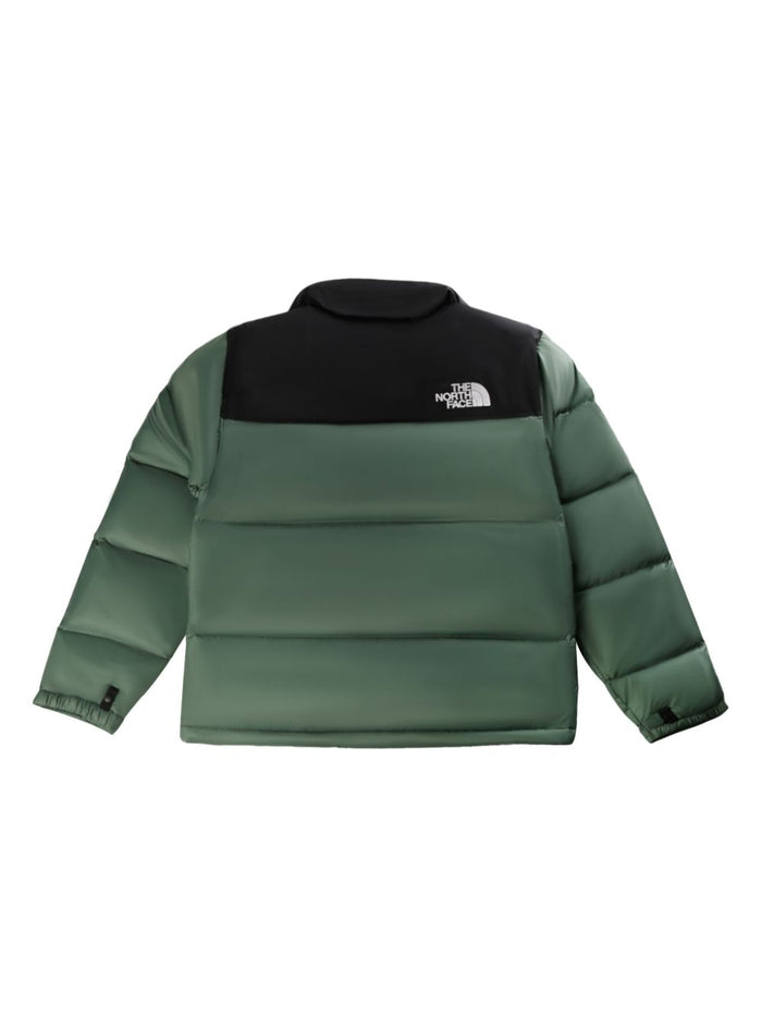 The North Face Men's Jacket 2