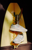 Dipierro - Scarpe