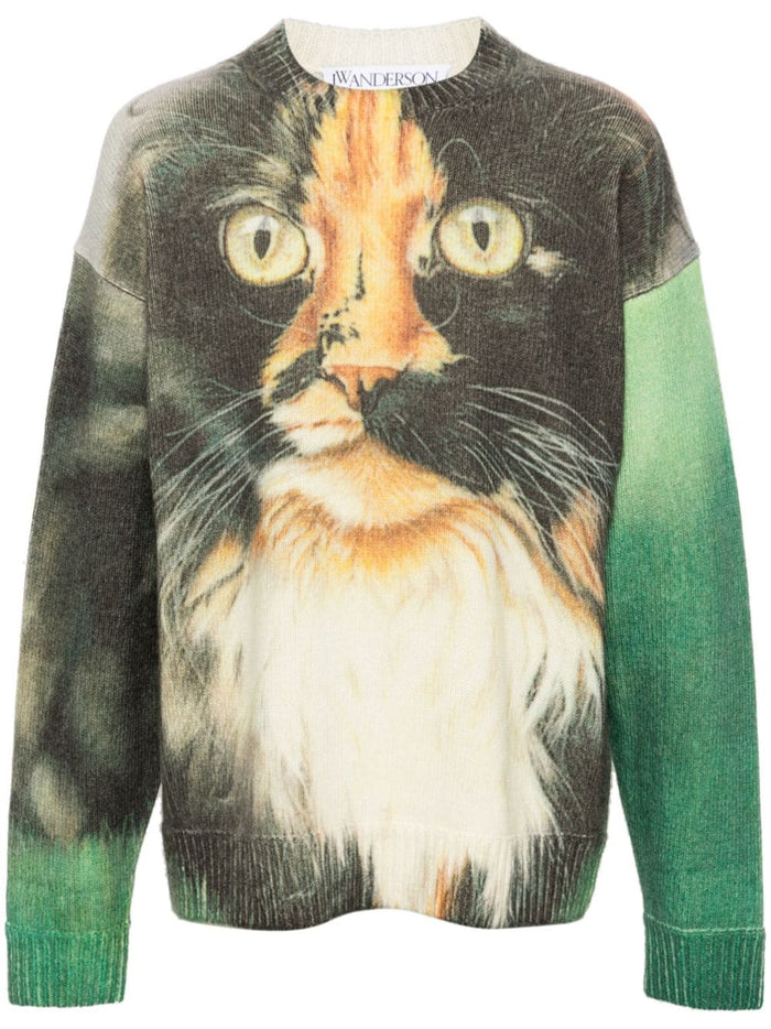 Jwanderson Men's Green Cat Print Sweater 5